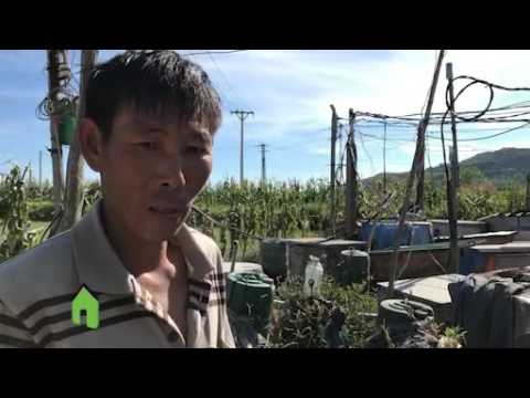 Clip: Kỳ lạ giếng “Thạch Sanh” bơm mãi không cạn ở đảo Lý Sơn