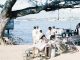 Ký sự Đà thành (Kỳ 7: Từ Quai Courbet đến Bạch Đằng…)