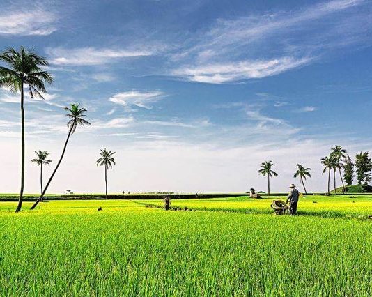 Tuổi trẻ Lý Sơn bảo về “Mạch máu quê hương”