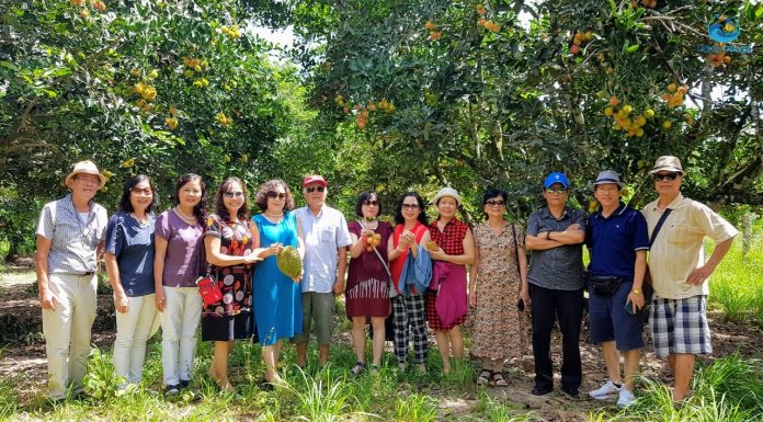 Du lịch nghỉ dưỡng Lý Sơn 4 ngày 3 đêm đại gia đình U60 đi từ Hà Nội